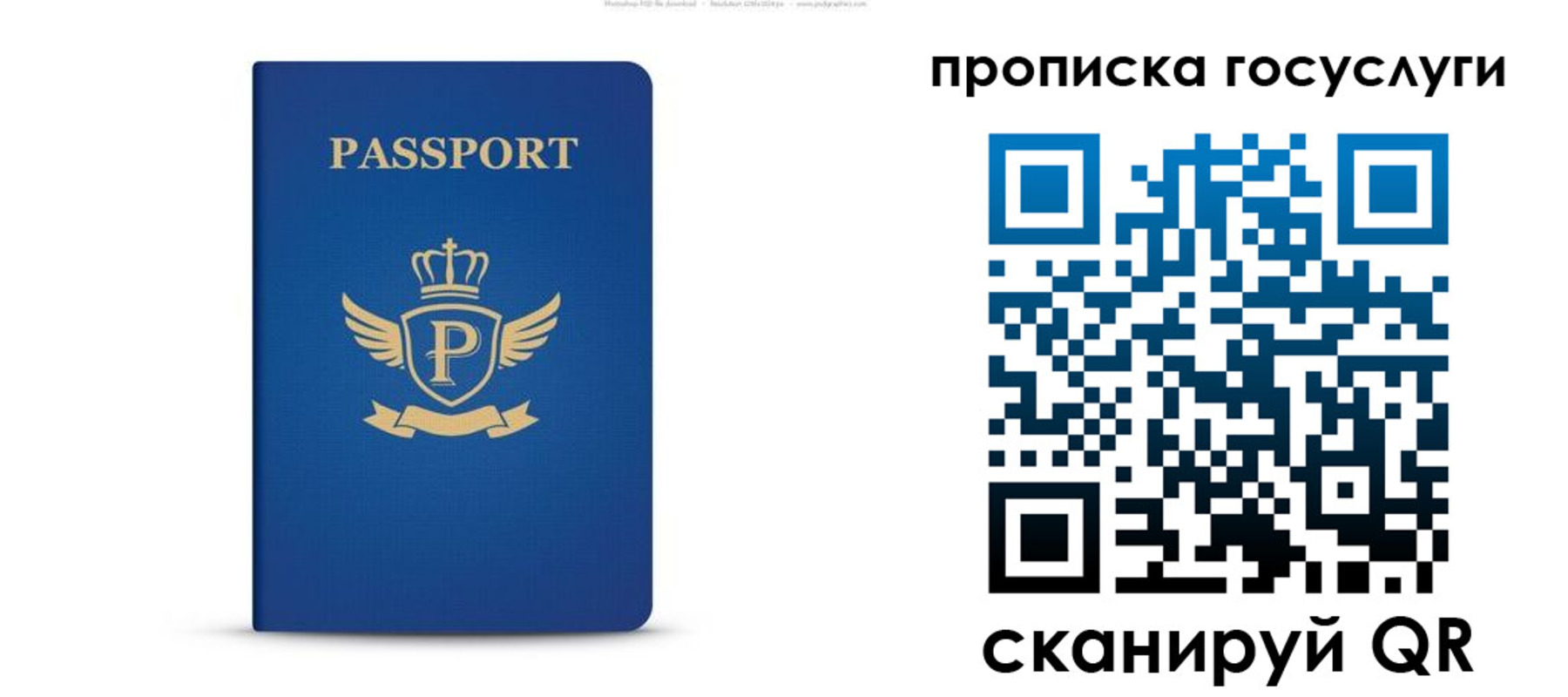 прописка для школы в Липецкая области